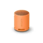 Sony XB100 Portable Wireless Speaker
