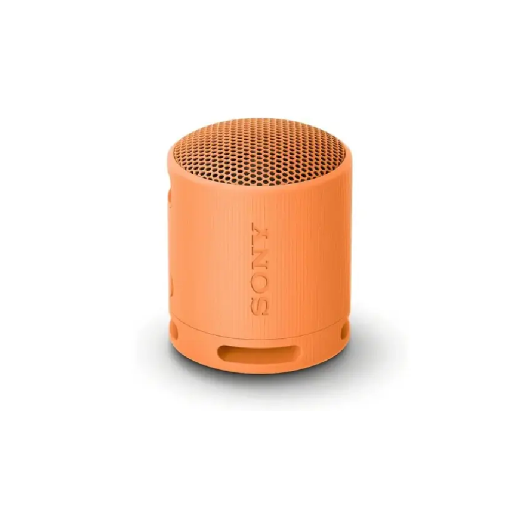 Sony XB100 Portable Wireless Speaker