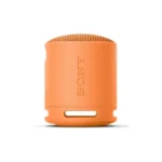 Sony XB100 Portable Wireless Speaker