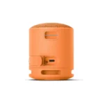 Sony XB100 Portable Wireless Speaker