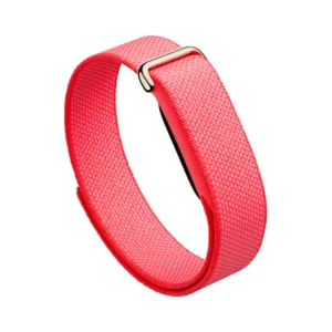 Google Fitbit Air Fitness Activity Tracker Band – Berry